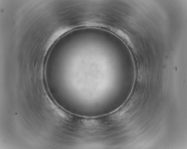 X0000089461231200706151426