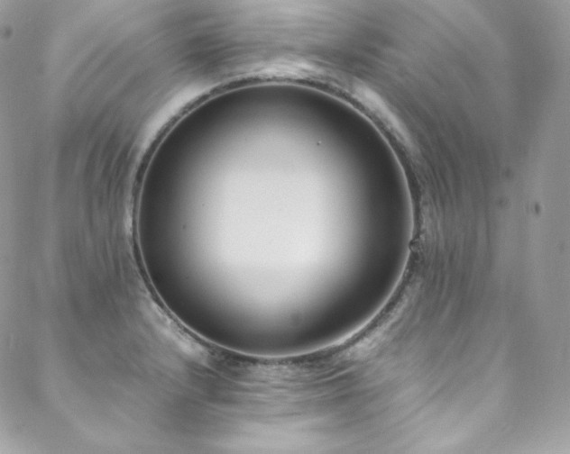 X0000089461232200706151426