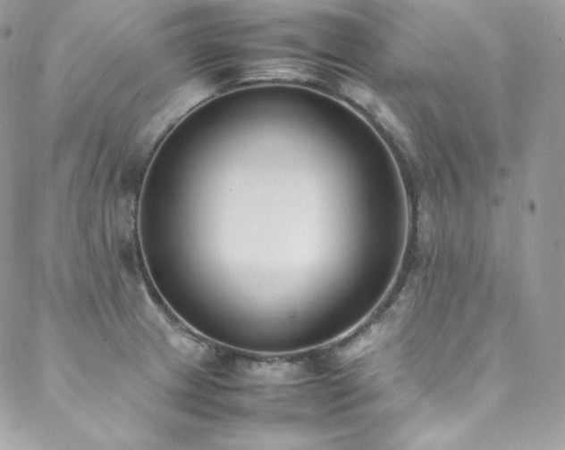 X0000089461233200706151426