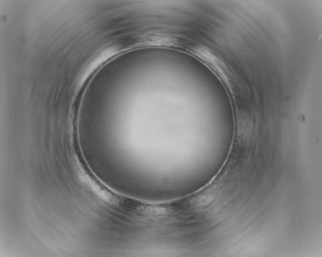 X0000089461235200706151426