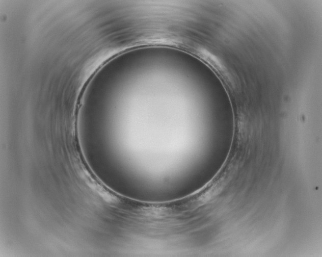 X0000089461236200706151426
