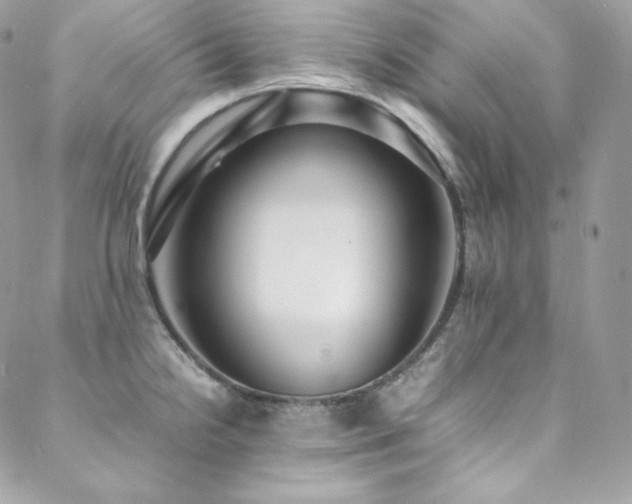 X0000089461238200706151426