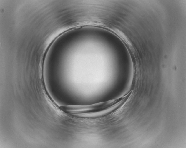 X0000089461246200706151426