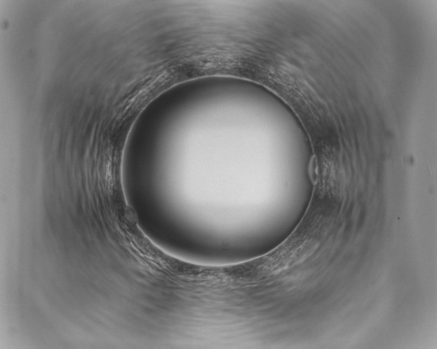 X0000089461250200706151425