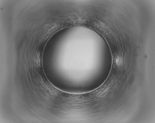 X0000089461252200706151425