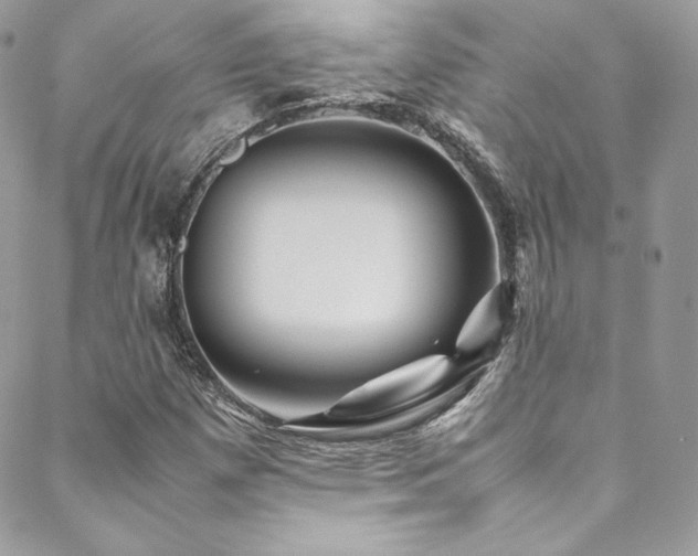 X0000089461257200706151425