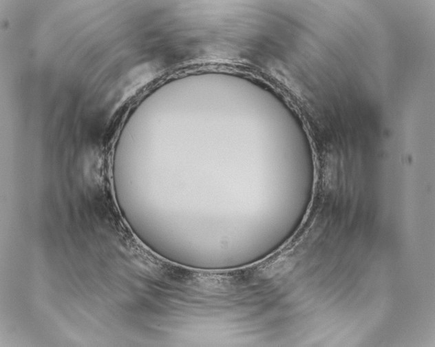 X0000089461258200706151425