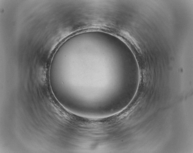 X0000089461260200706151425