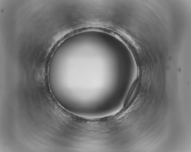X0000089461264200706151425