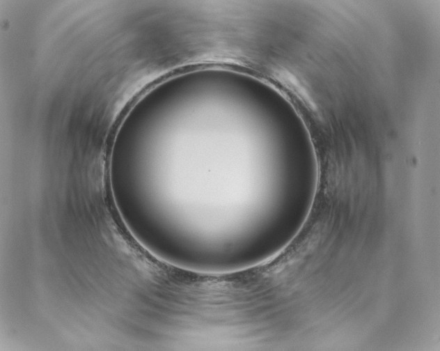 X0000089461268200706151425