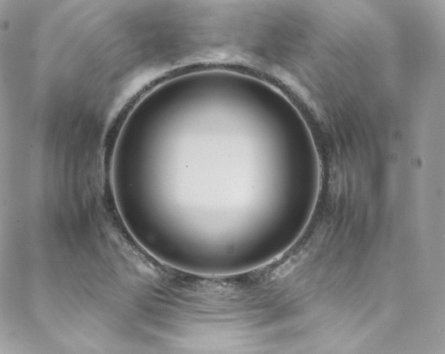X0000089461270200706151425