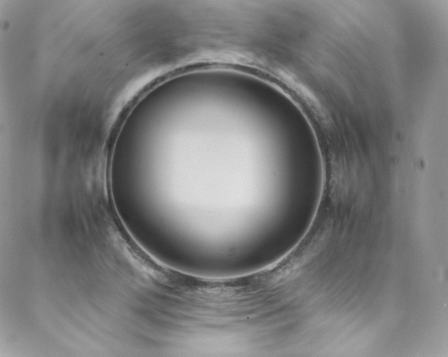 X0000089461272200706151425