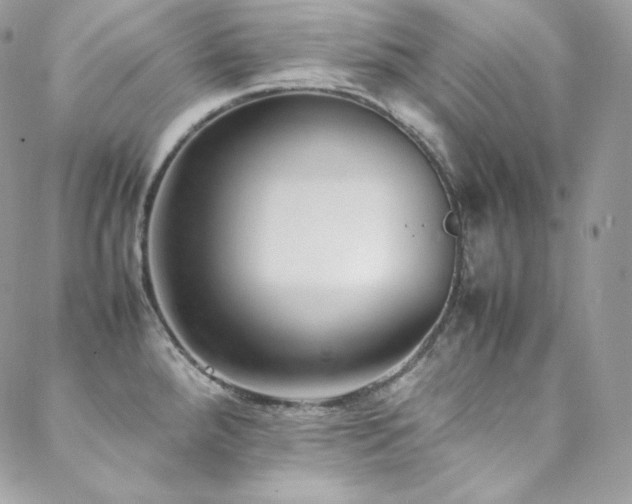 X0000089461288200706151424