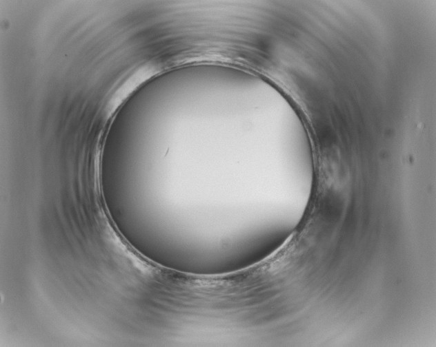X0000089461290200706151424