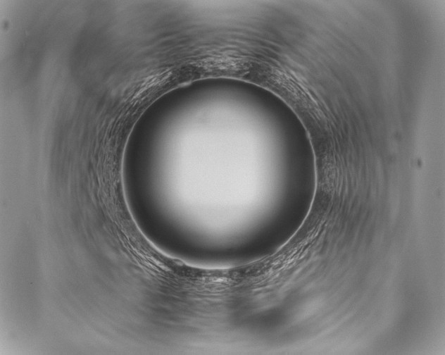 X0000089461297200706151423