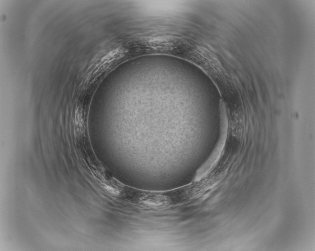 X0000089461298200706151423