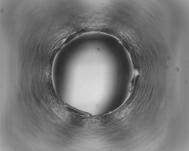 X0000089461300200706151424