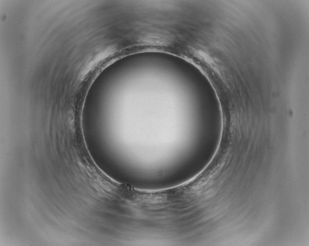 X0000089461307200706151424