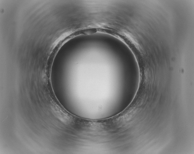 X0000089461308200706151424