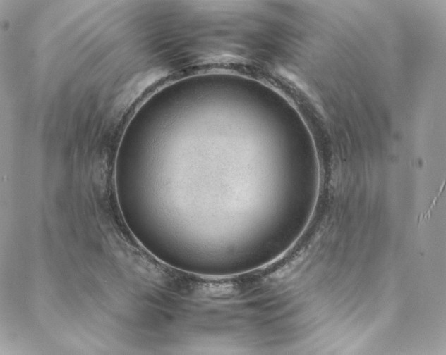 X0000089461313200706151424