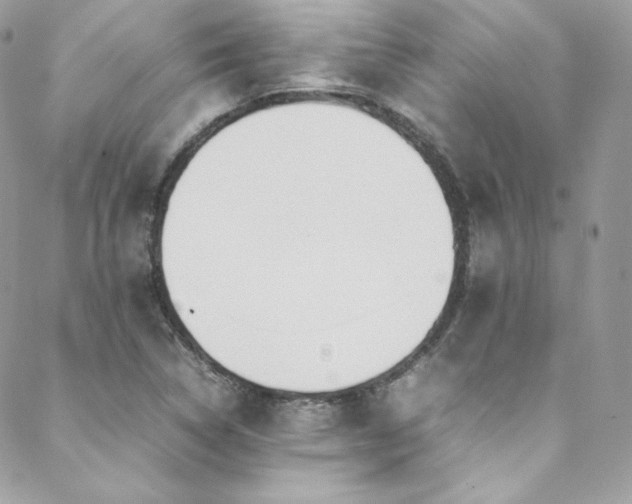 X0000089461314200706151424