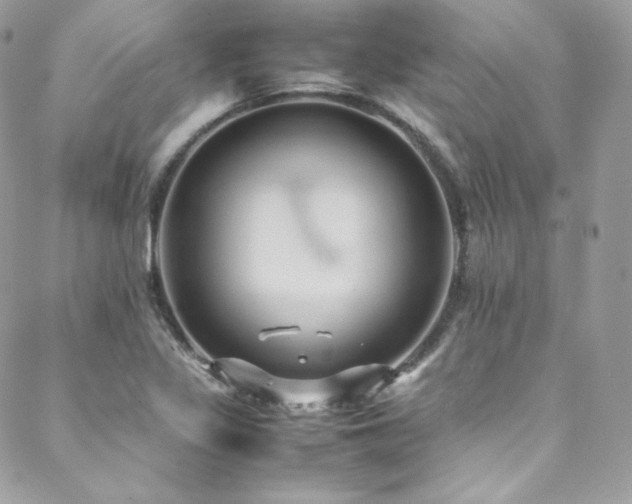 X0000089461317200706151424