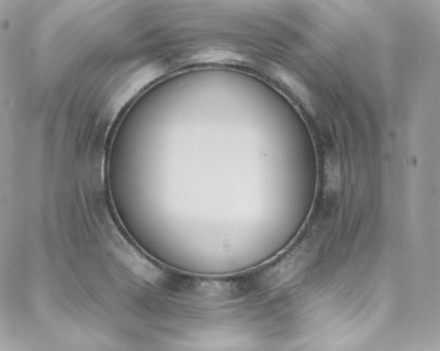 X0000089461322200706151424