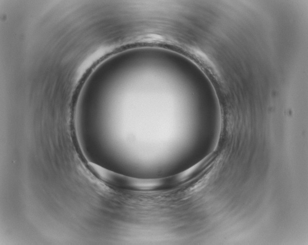 X0000089461326200706151424