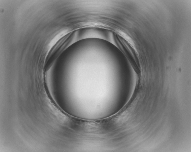 X0000089461330200706151424