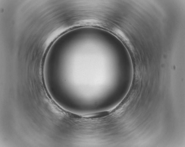 X0000089461336200706151424