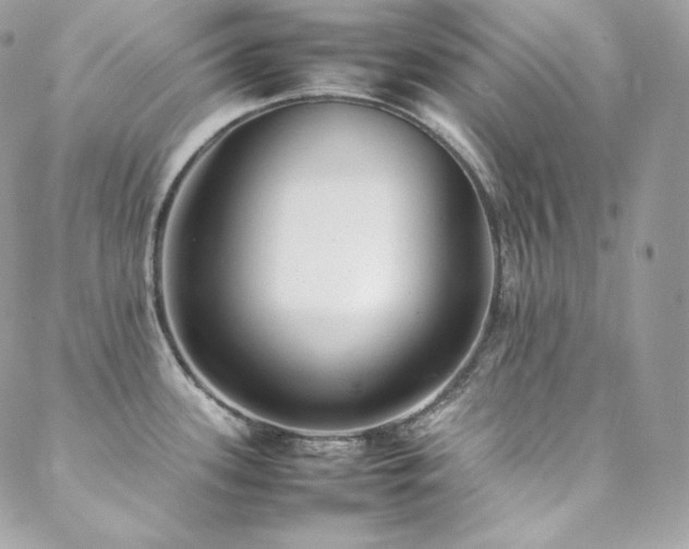 X0000089461339200706151424
