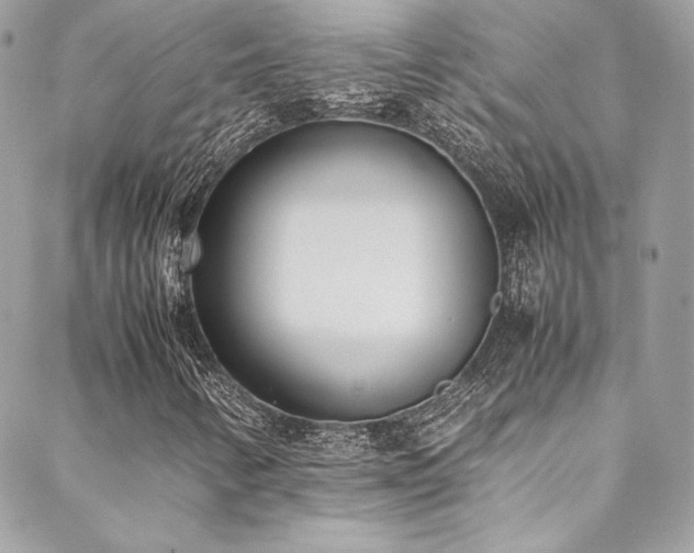 X0000089461346200706151423