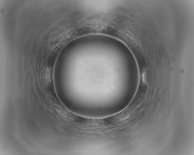 X0000089461347200706151423