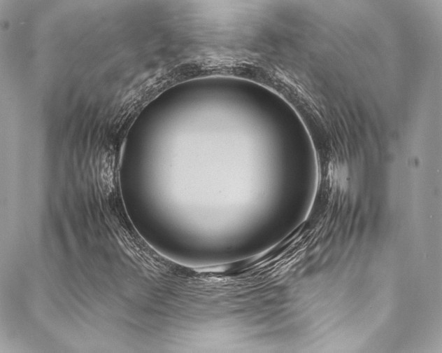 X0000089461348200706151423
