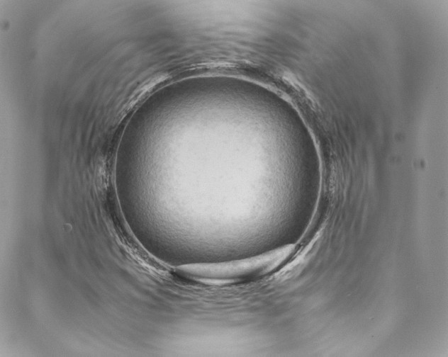 X0000089461353200706151423