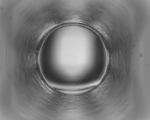 X0000089461356200706151423