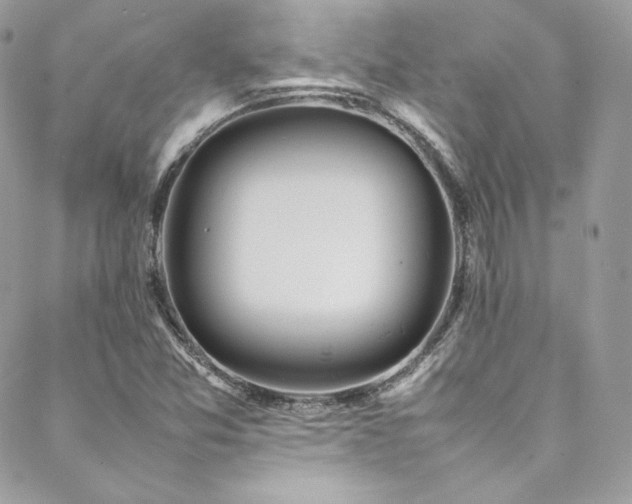 X0000089461357200706151423