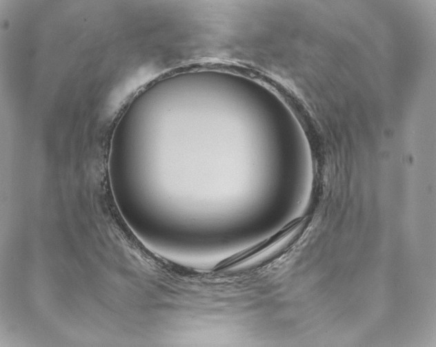 X0000089461359200706151423