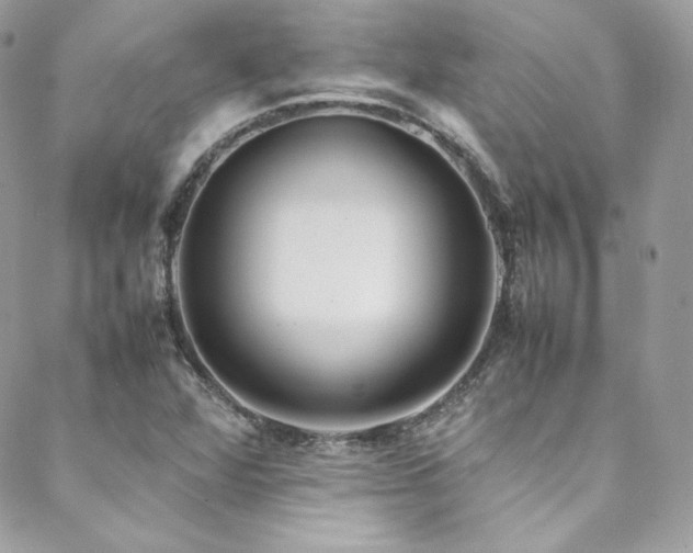 X0000089461360200706151423