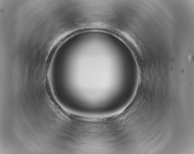 X0000089461364200706151423