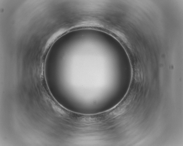 X0000089461366200706151423