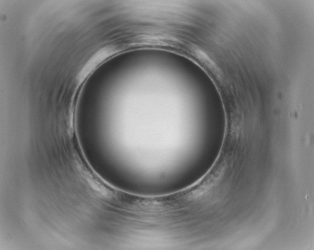 X0000089461370200706151423