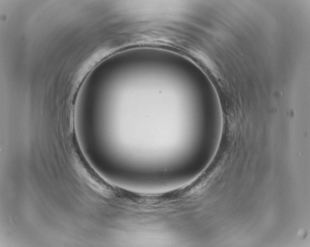 X0000089461371200706151423