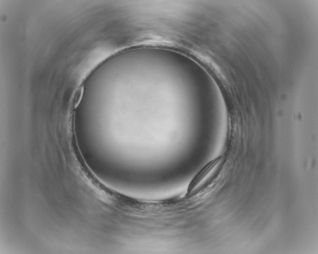 X0000089461375200706151423