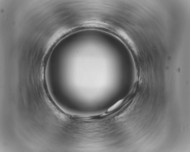 X0000089461376200706151423
