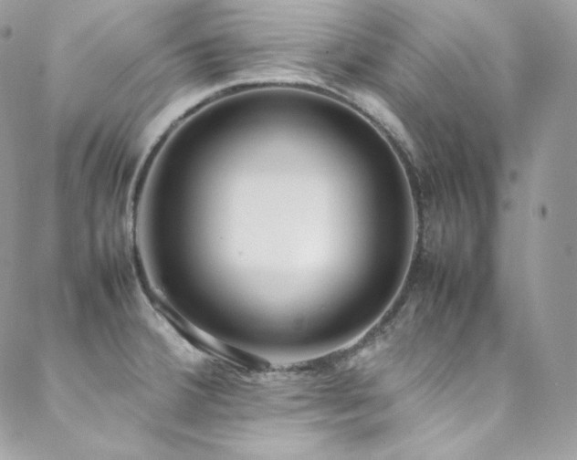 X0000089461380200706151423