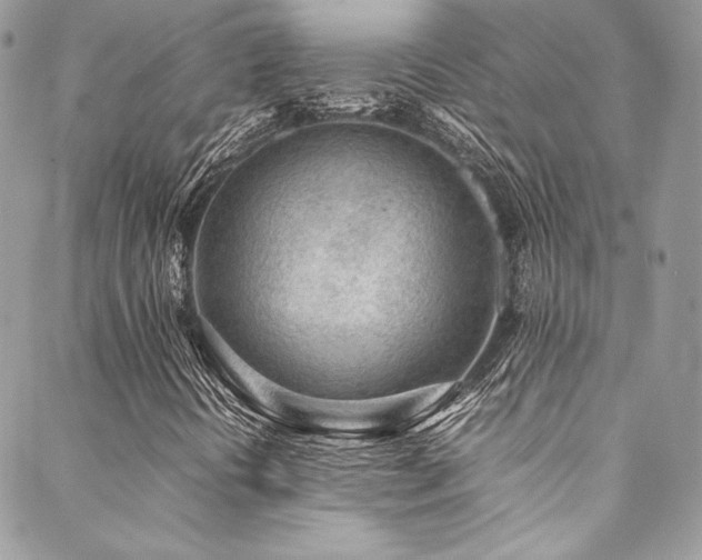 X0000089461394200706151422