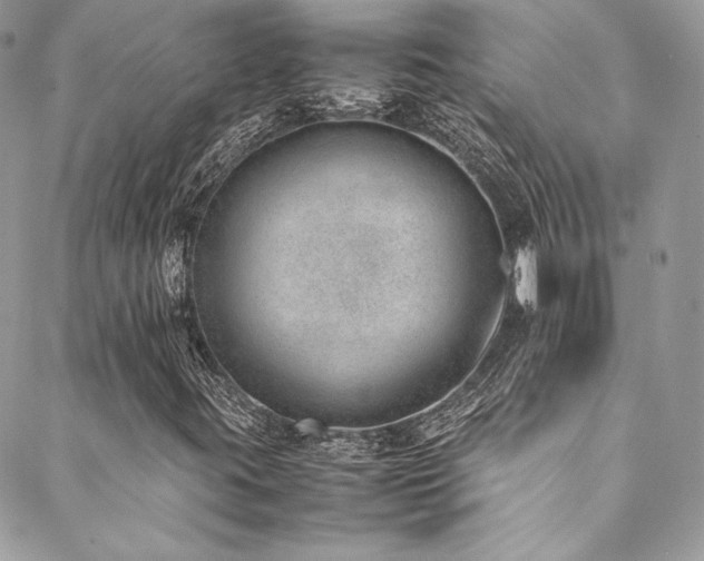 X0000089461395200706151422