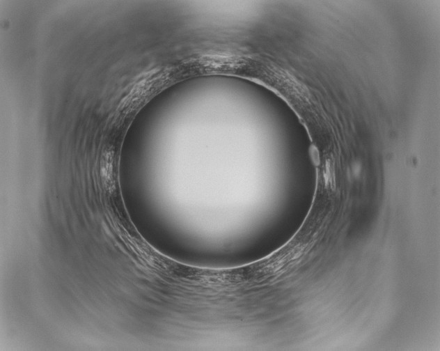 X0000089461396200706151422