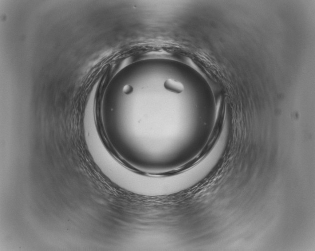 X0000089461398200706151422